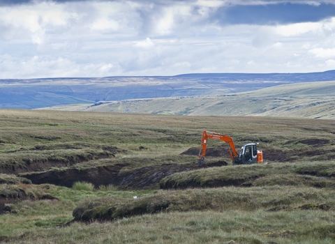 Restoring peatland habitats on a Yorkshire moorland 
