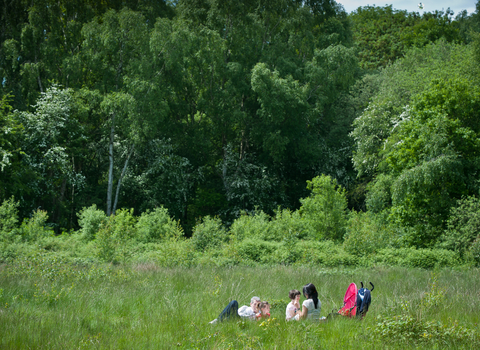 A family enjoy a picnic at Potteric Carr Yorkshire Wildlife Trust nature reserve