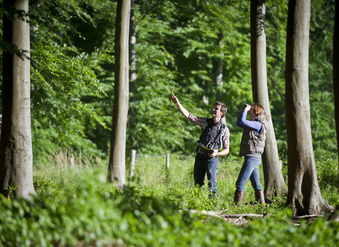 Couple in woodland