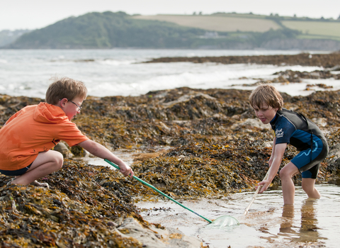 A small boy with a fishing net looking for crabs, in a small rock