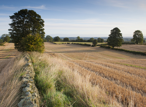 Haregill Lodge farm, North Yorkshire