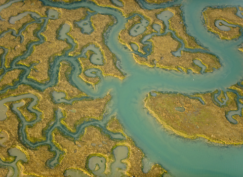 Saltmarsh from the air, The Wildlife Trusts