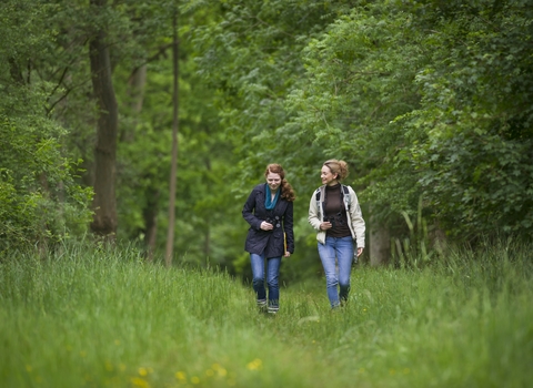 wild walk people