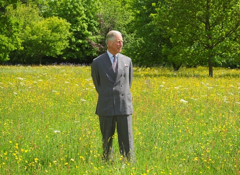 King Charles III at Highgrove Coronation Meadows © Robin Bell