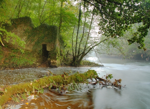 River Torridge at Halsdon reserve
