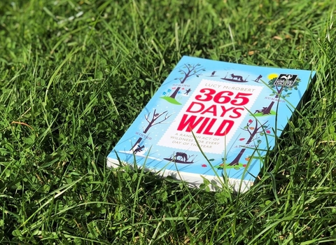 365 Days Wild book