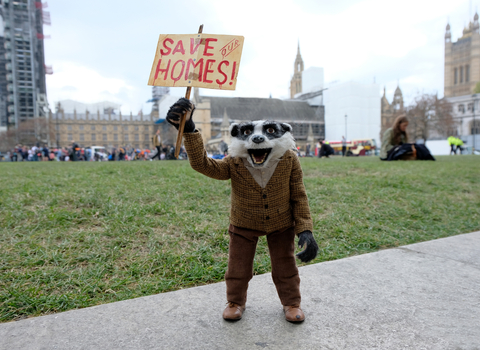 Badger protesting 