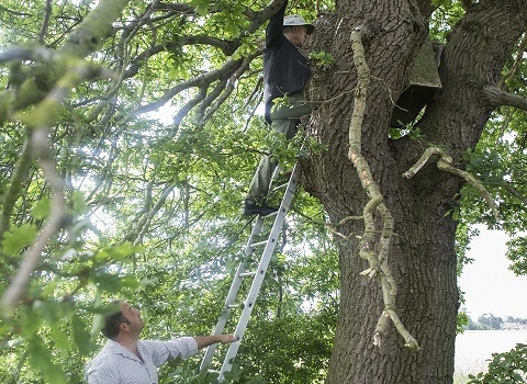 JFP farmer Stephen, Installing owl box © Jordans