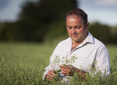 JFP oat grower Stephen with oats