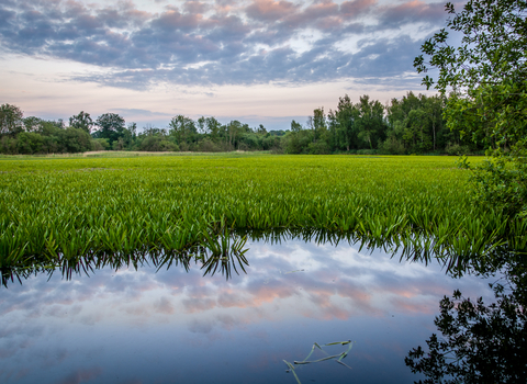 Thompson Water