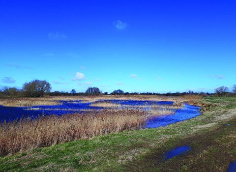 Ripon City Wetlands, Yorkshire Wildlife Trust