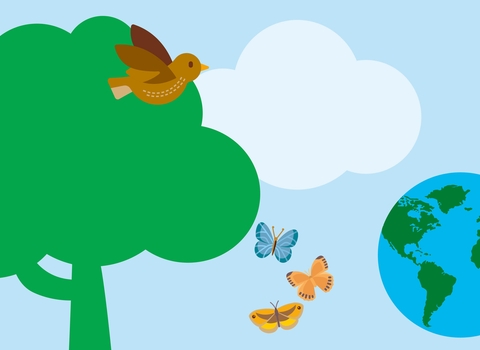 30 Days Wild 2020 web banner