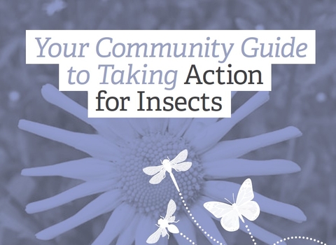 You guide to taking action for insects in your community (English)