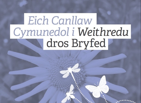 Your guide to taking action for insect in your community (Welsh)