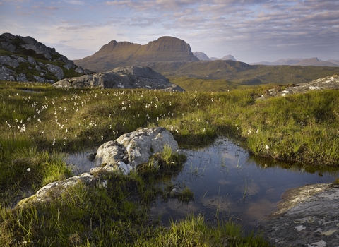 Landscape