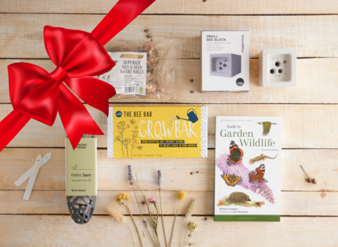 Christmas gifts