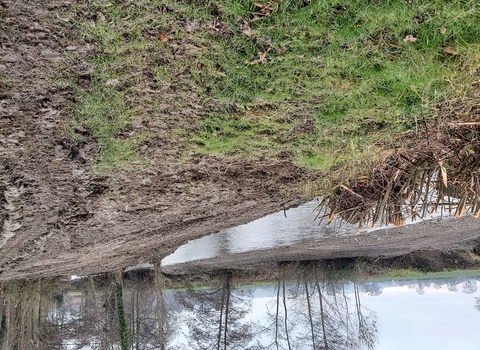 View of the clearance of the River Lugg, Herefordshire