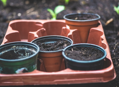 compost