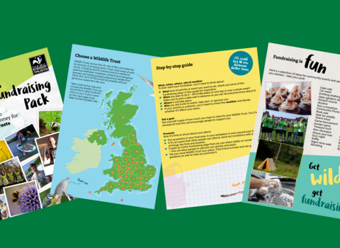 wild fundraising pack