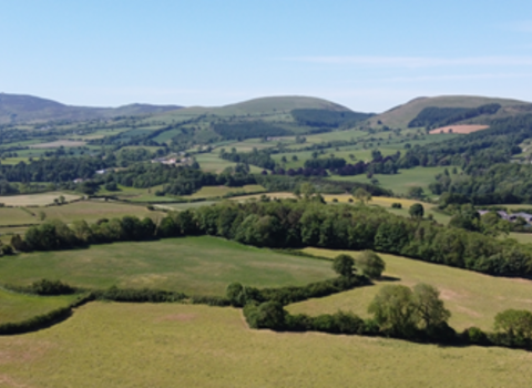 Alun and Chwiler Living Landscape