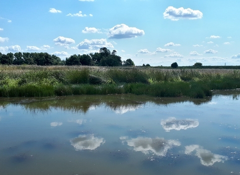 South Lincolnshire Fens- Big skies
