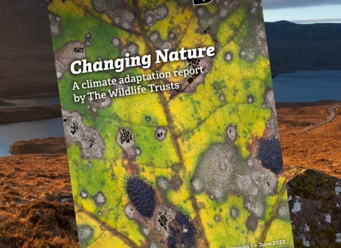 The front cover of the climate adaptation report