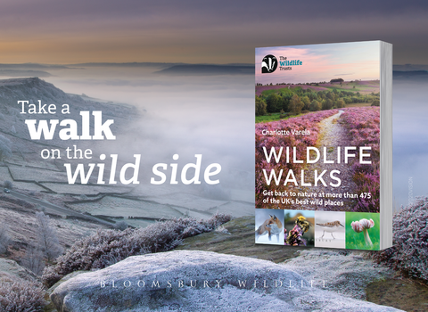 outdoor places to visit near me Wildlife Walks Book - Spotlight image