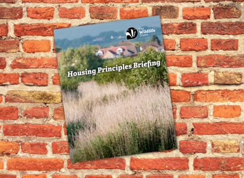 Housing principles briefing