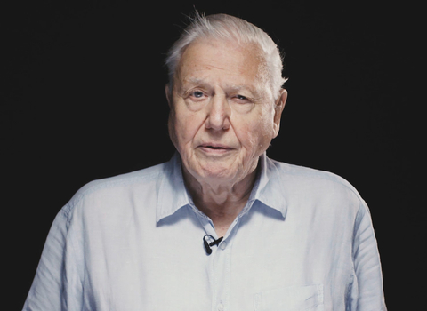 David Attenborough