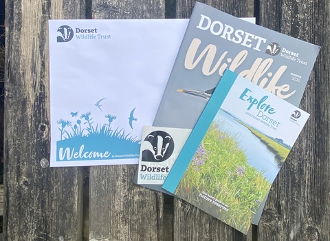 Dorset membership pack