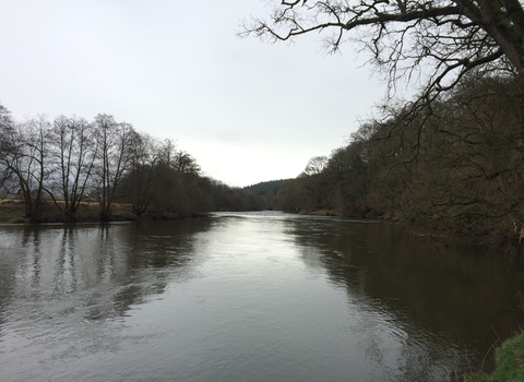 A wide, tree-lined river