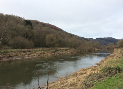 A river in Wales, with a wooded hill on the far bank
