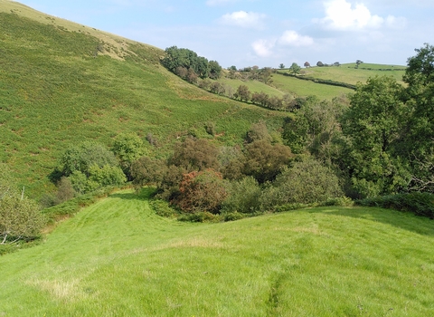 View of Pentwyn
