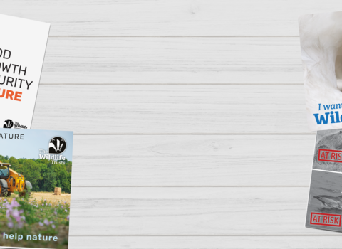 Postcard header