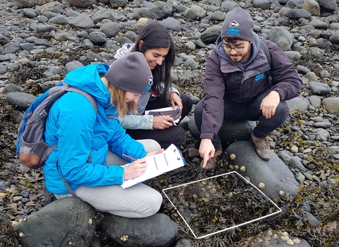 People by the sea looking at ocean species