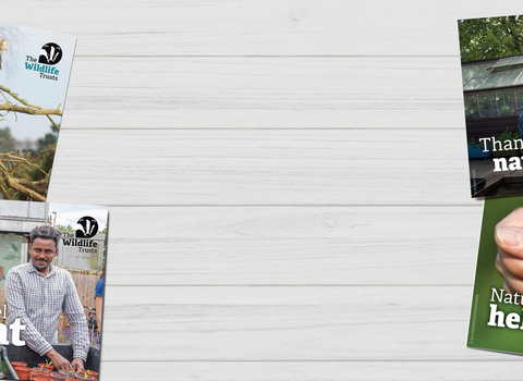Nature helps postcard web banner