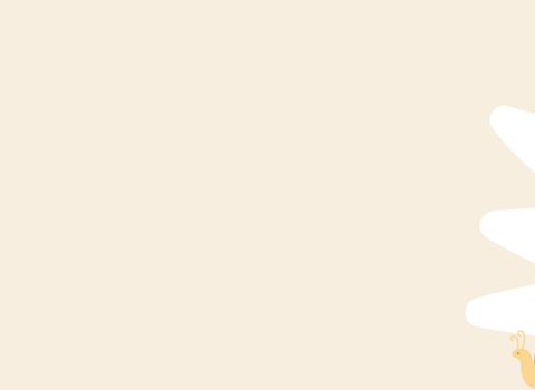 30DW website header