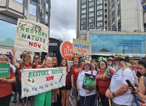 Restore Nature Now