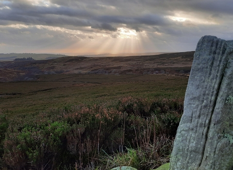 Simonside Hills. An open landscape with rolling hills under a cloudy sky. Sunbeams break through the clouds, casting light onto the land below. In the foreground, a large, weathered stone stands upright among low vegetation.