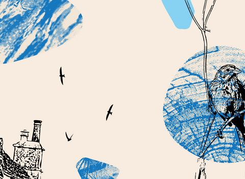 30 Days Wild header with house and sparrow