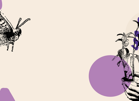 Ilustrated web banner image with purple pebble shapes overlaid by two black and white illustrations one depicting a butterfly with closed wings and the other of two human hands holding a potted plant.