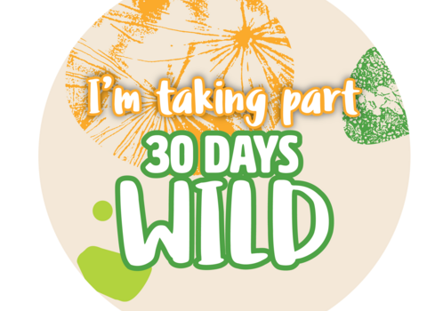 A shareable badge for social media that reads 'I'm taking part in 30 Days Wild'