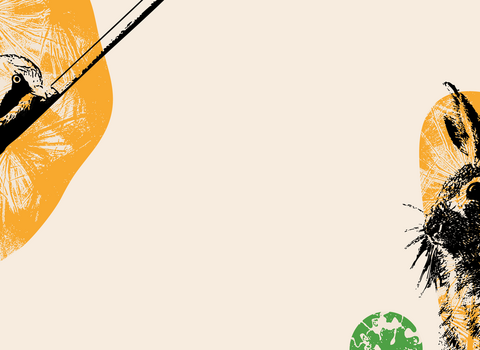 30DW header
