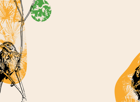 illustration of a puffin and a reed bunting