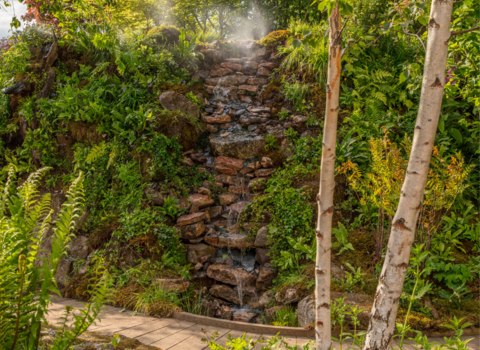 The Wildlife Trusts' British Rainforest Garden - waterfall and silver birch tree