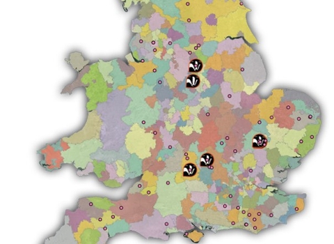 BNG MAp