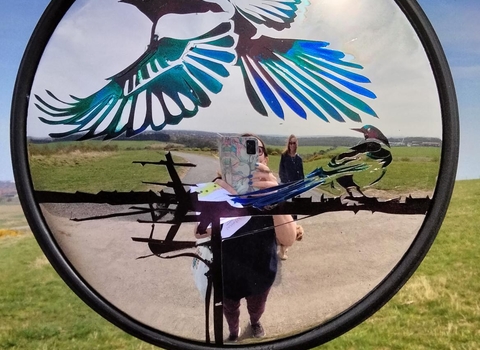 Magpie on a mirror art