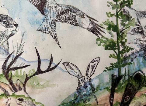 drawing of nature