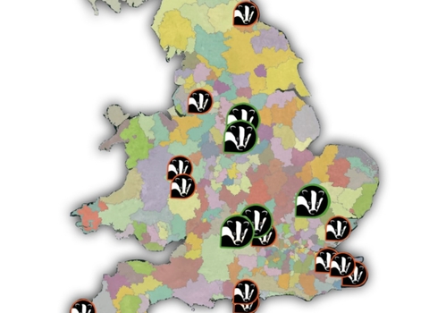 BNG Map - Extended