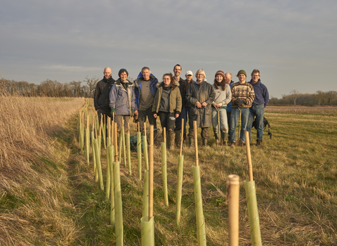 Volunteers Tree Planting